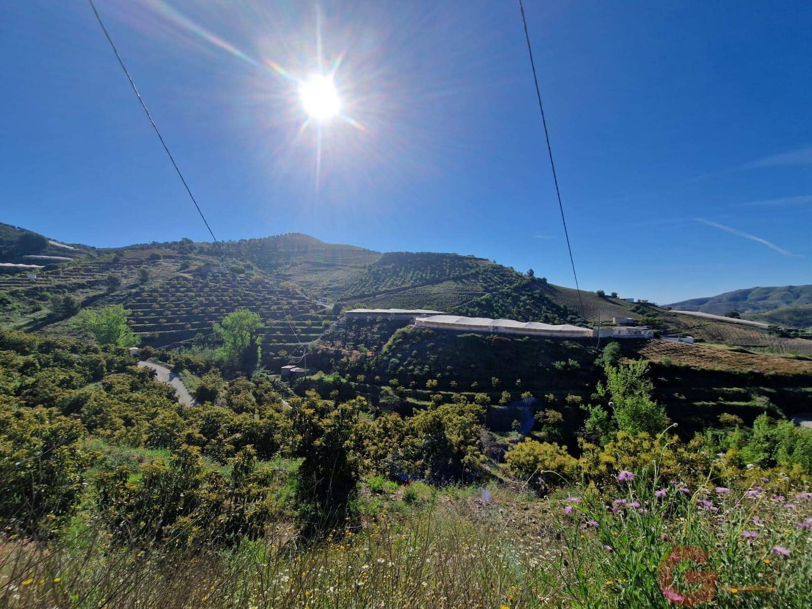 Terrain à Bâtir à vendre à Itrabo - 125 000 € (Ref: 9793683)