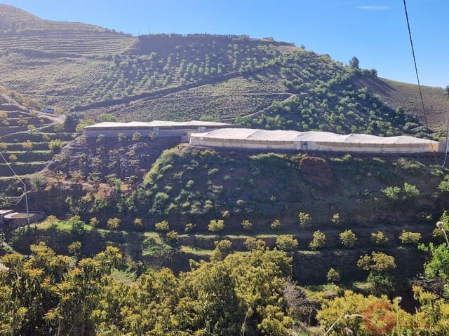 Terrain à Bâtir à vendre à Itrabo - 125 000 € (Ref: 9793683)