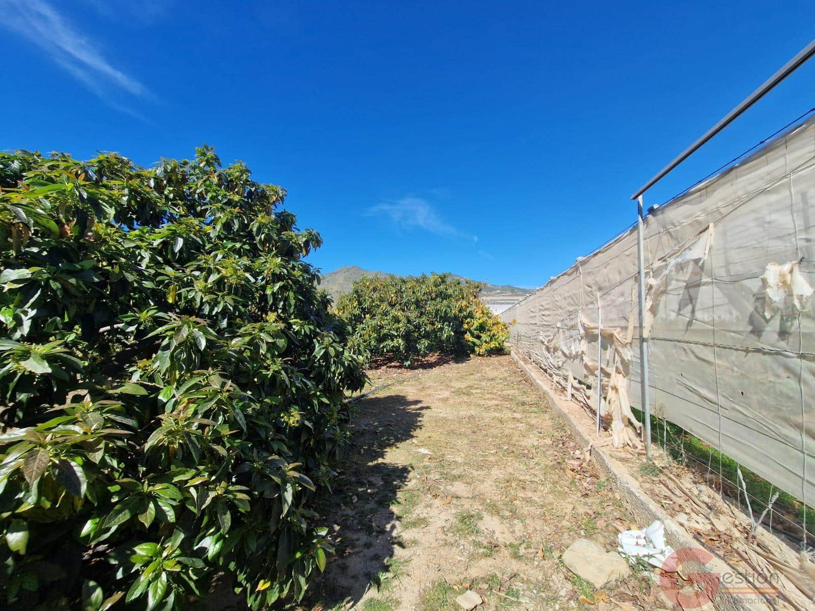 2 sypialnia Finka/Dom wiejski na sprzedaż w Molvizar - 636 000 € (Ref: 9793684)