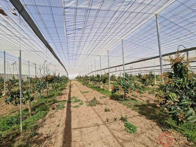 2 sypialnia Finka/Dom wiejski na sprzedaż w Molvízar - 636 000 € (Ref: 9793684)