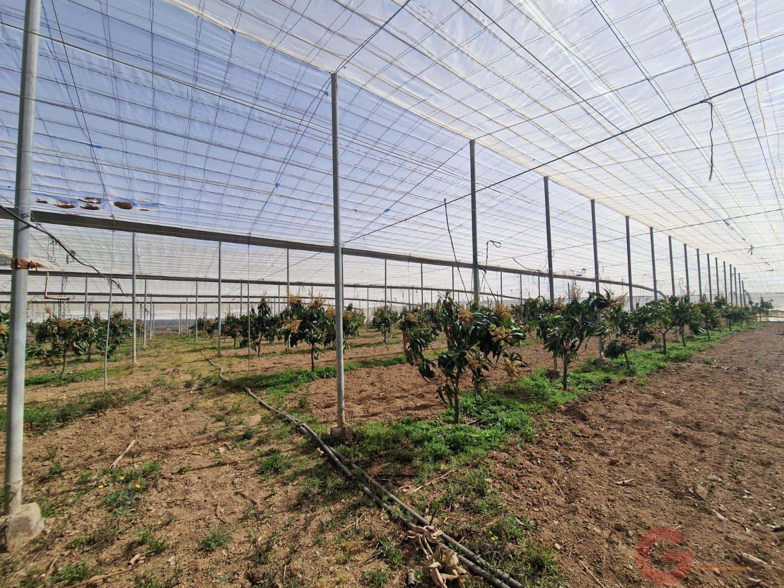 2 sypialnia Finka/Dom wiejski na sprzedaż w Molvizar - 636 000 € (Ref: 9793684)