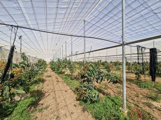 2 sypialnia Finka/Dom wiejski na sprzedaż w Molvízar - 636 000 € (Ref: 9793684)