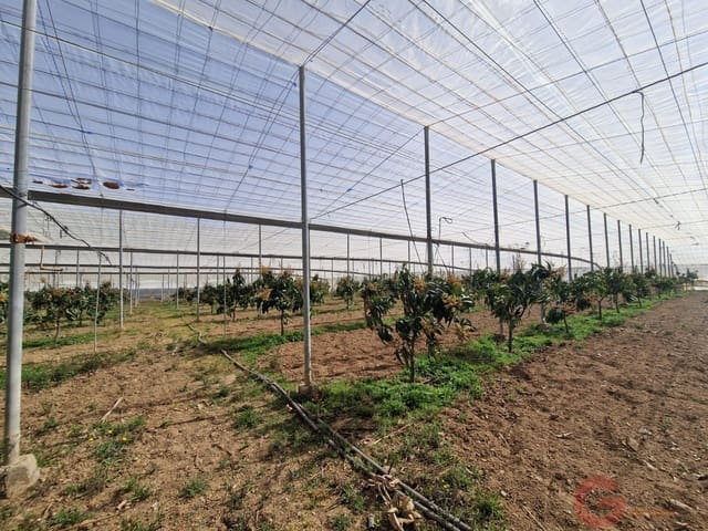 2 sypialnia Finka/Dom wiejski na sprzedaż w Molvízar - 636 000 € (Ref: 9793684)