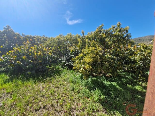 2 sypialnia Finka/Dom wiejski na sprzedaż w Molvízar - 636 000 € (Ref: 9793684)