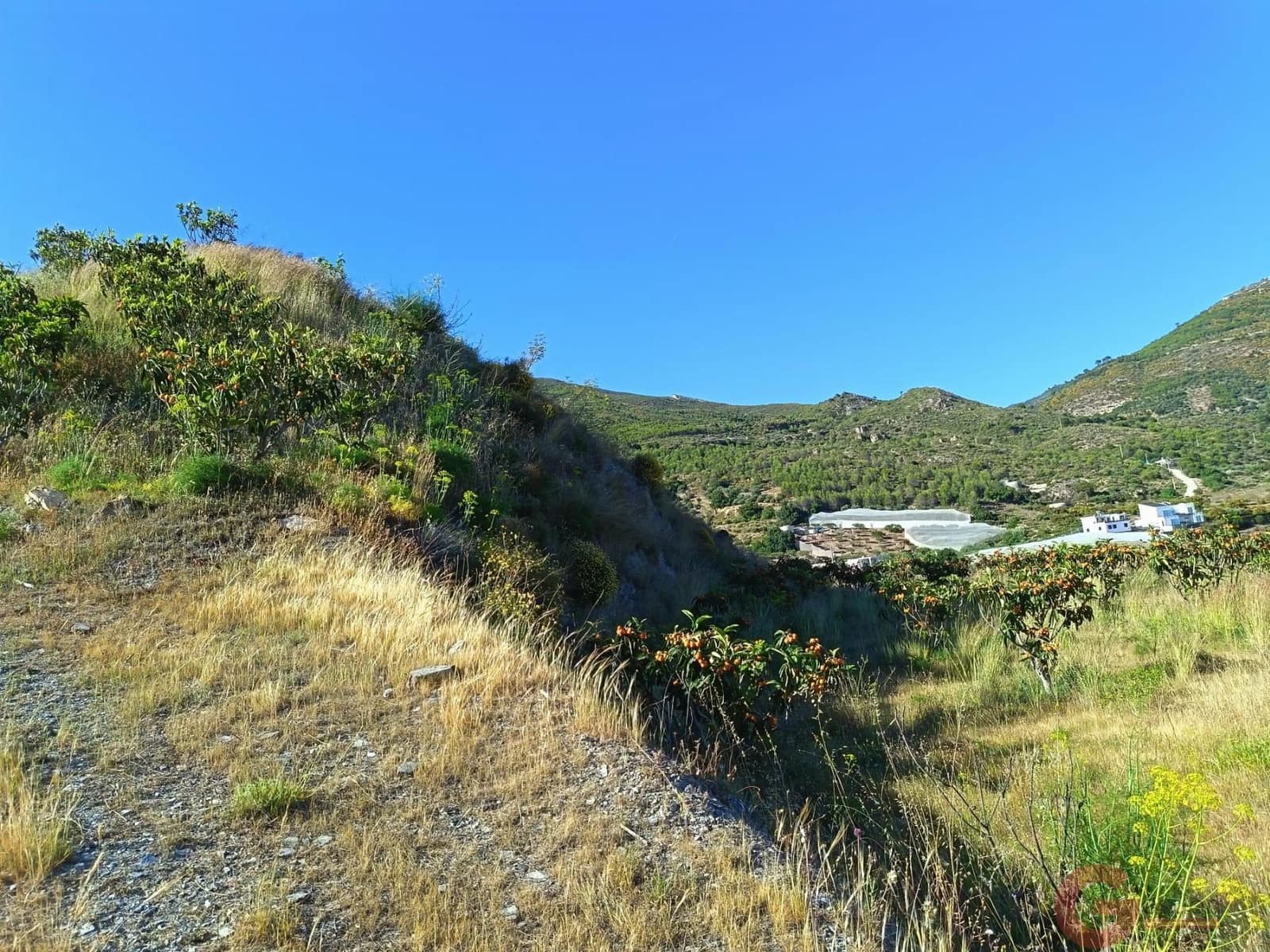 3 bedroom Finca/Country House for sale in Itrabo - € 254,500 (Ref: 9839980)