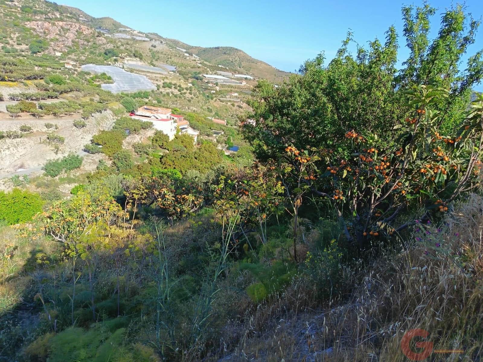 3 bedroom Finca/Country House for sale in Itrabo - € 254,500 (Ref: 9839980)