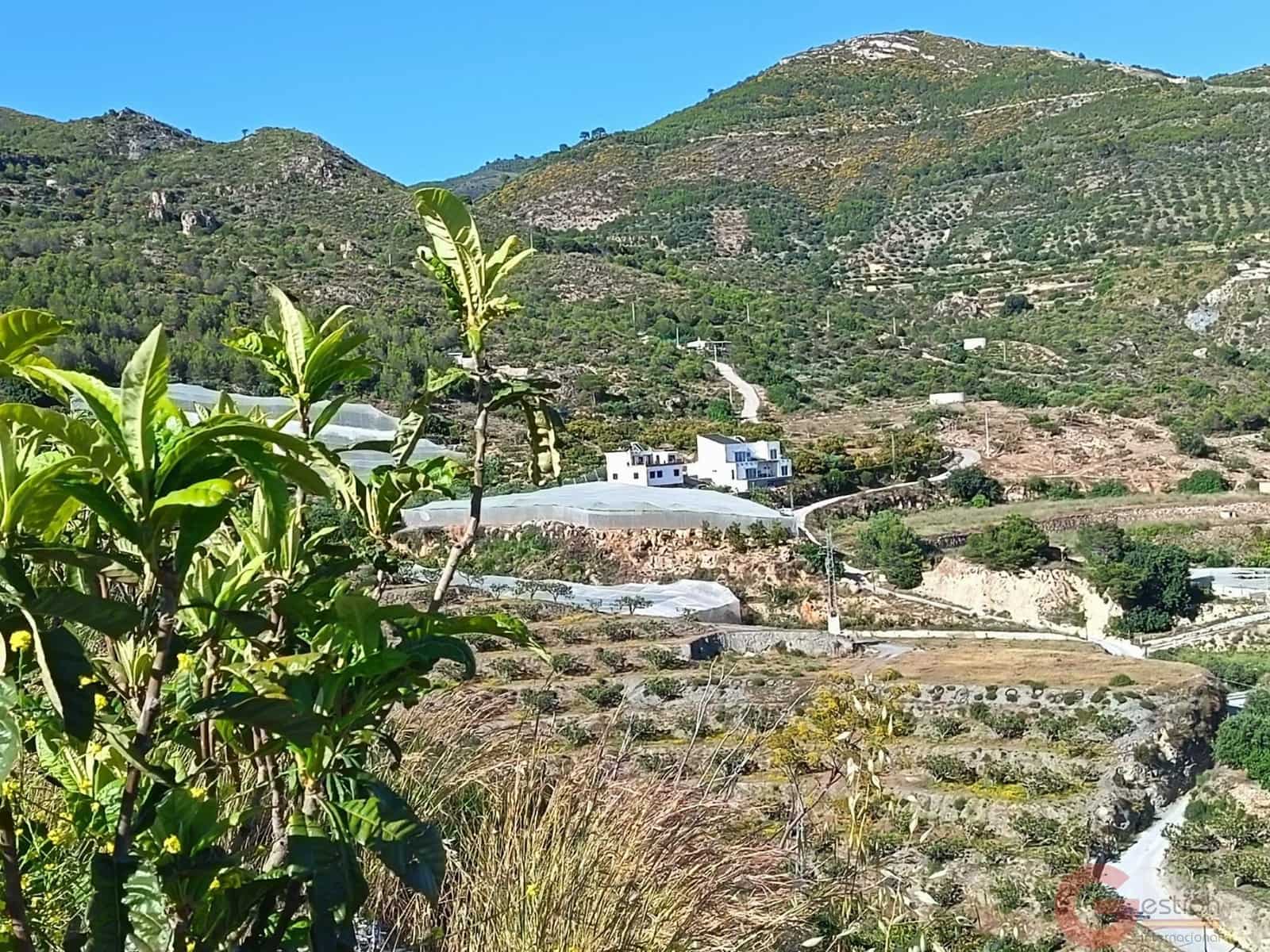 3 bedroom Finca/Country House for sale in Itrabo - € 254,500 (Ref: 9839980)