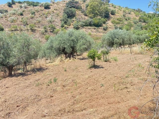 3 chambre Finca/Maison de Campagne à vendre à Comares - 120 000 € (Ref: 9875433)