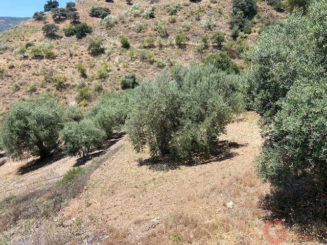 3 sypialnia Finka/Dom wiejski na sprzedaż w Comares - 120 000 € (Ref: 9875433)