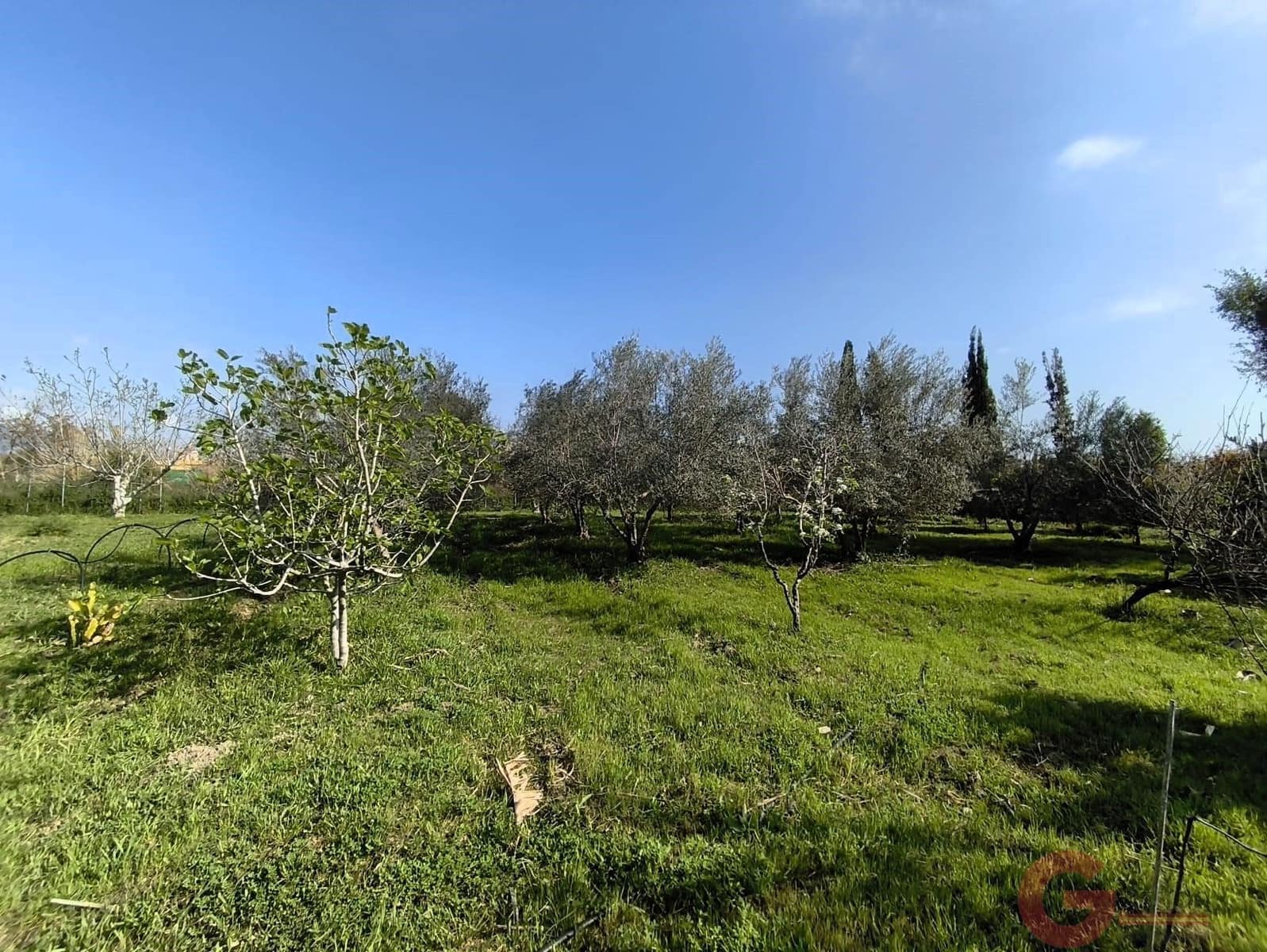 2 bedroom Finca/Country House for sale in Motril - € 290,000 (Ref: 9922395)