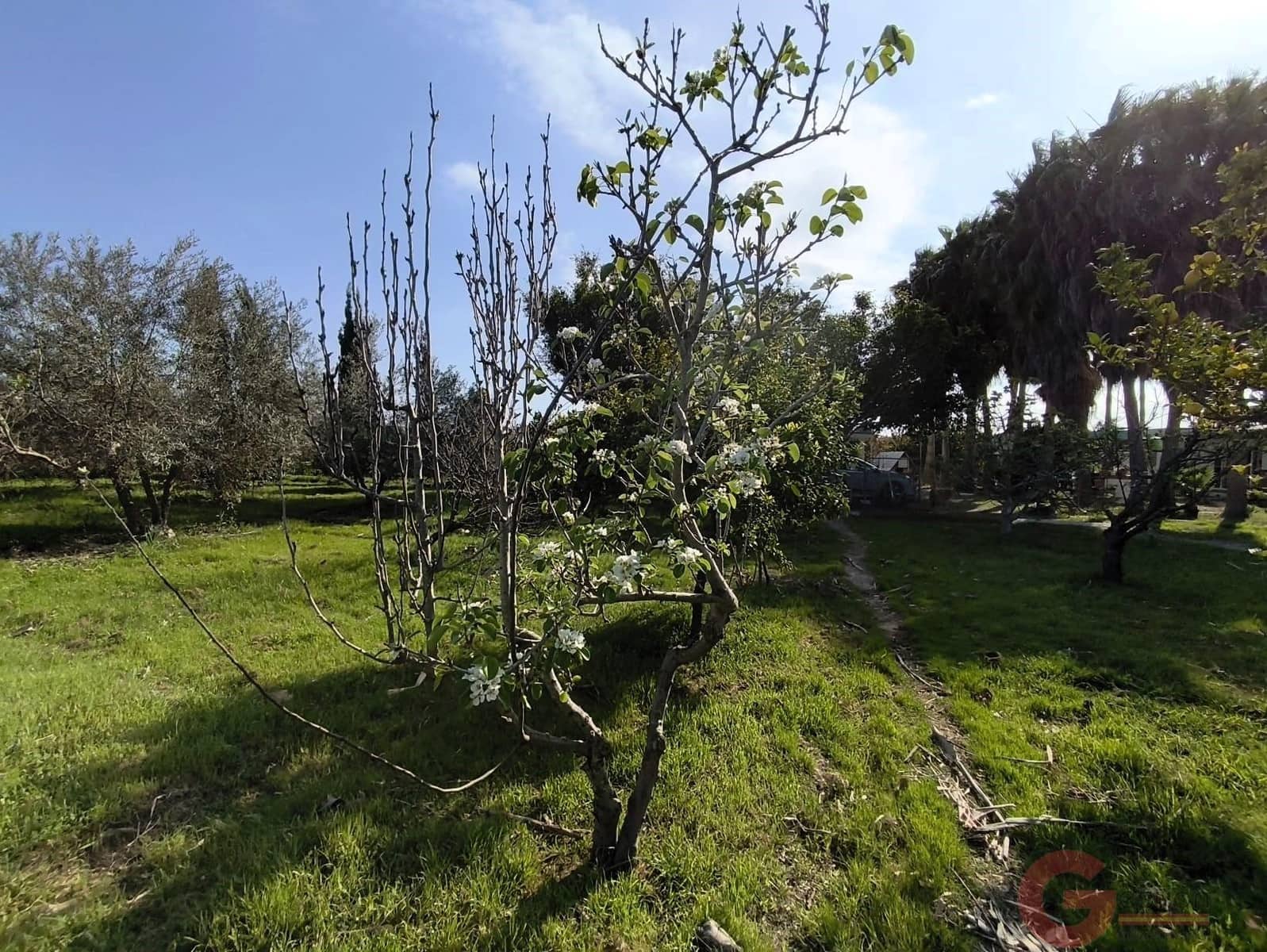 2 bedroom Finca/Country House for sale in Motril - € 290,000 (Ref: 9922395)