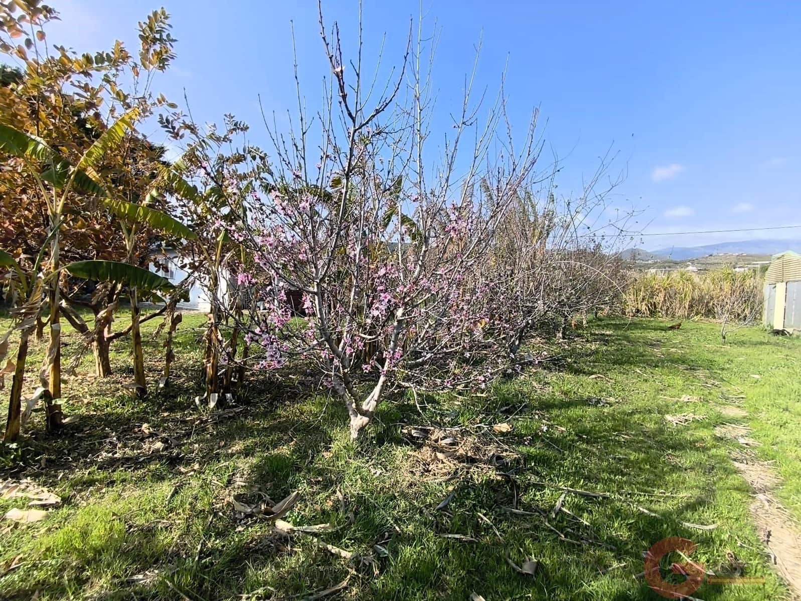 2 bedroom Finca/Country House for sale in Motril - € 290,000 (Ref: 9922395)