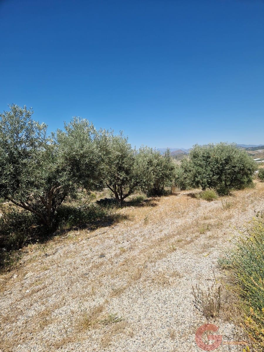 2 bedroom Finca/Country House for sale in Motril - € 200,000 (Ref: 9937321)