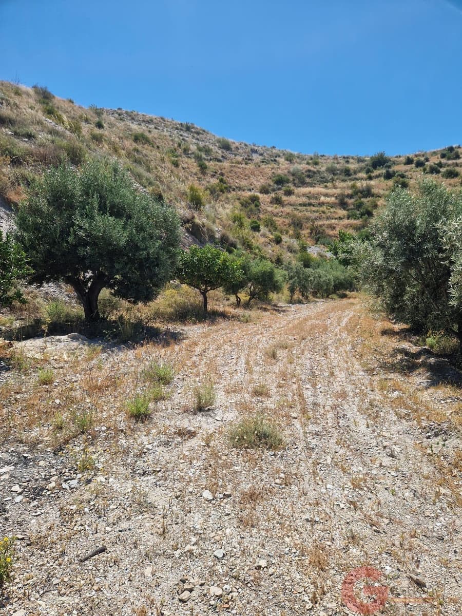 2 bedroom Finca/Country House for sale in Motril - € 200,000 (Ref: 9937321)