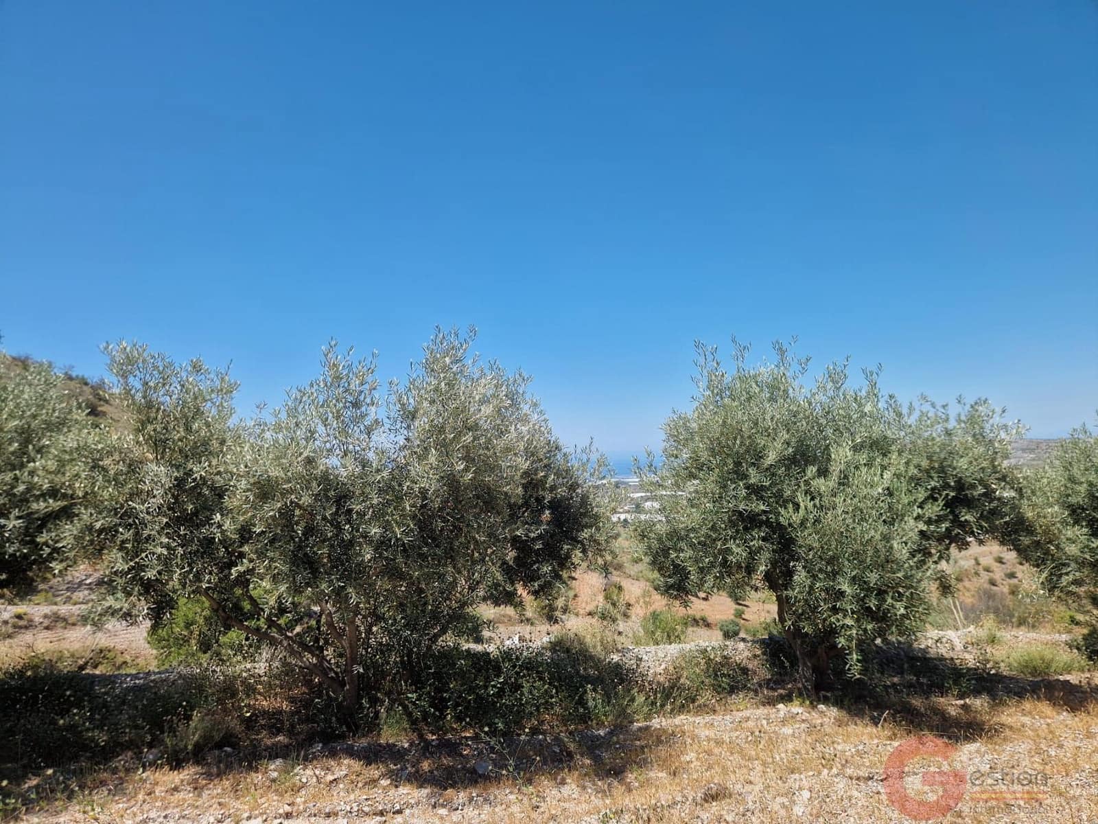 2 bedroom Finca/Country House for sale in Motril - € 200,000 (Ref: 9937321)