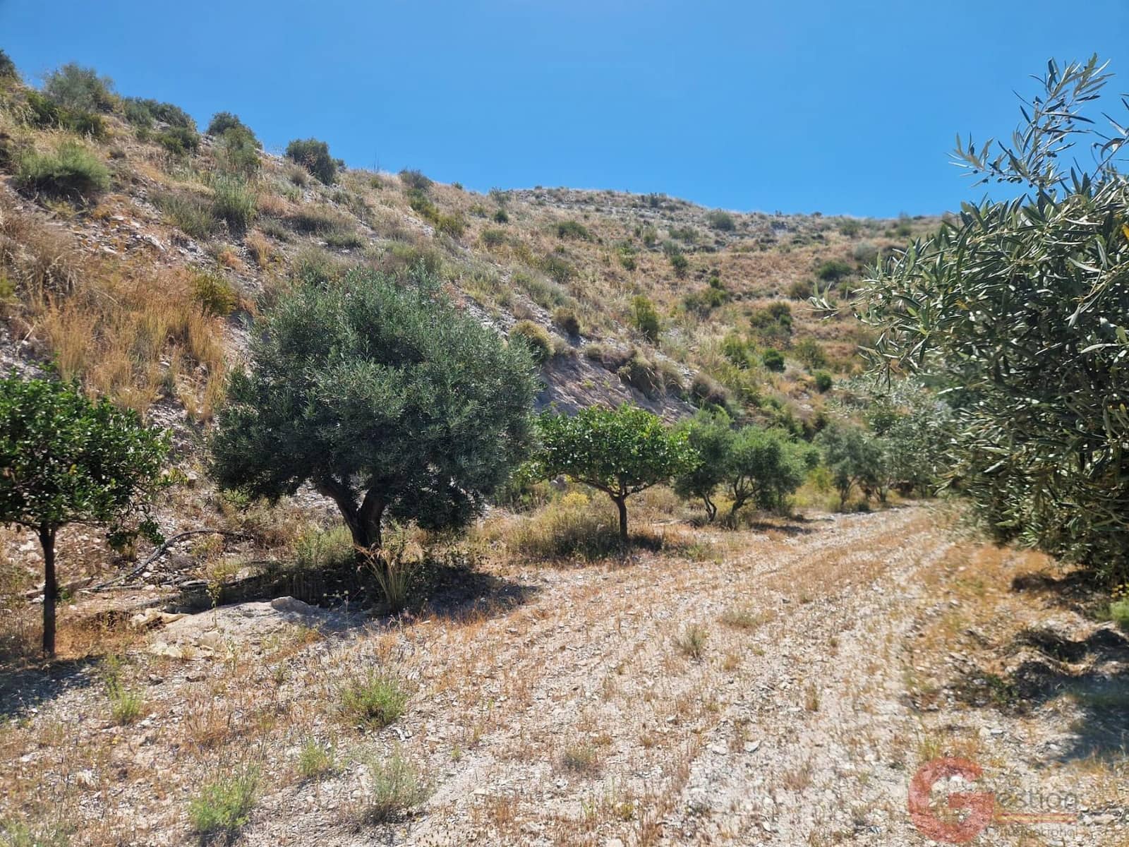 2 bedroom Finca/Country House for sale in Motril - € 200,000 (Ref: 9937321)
