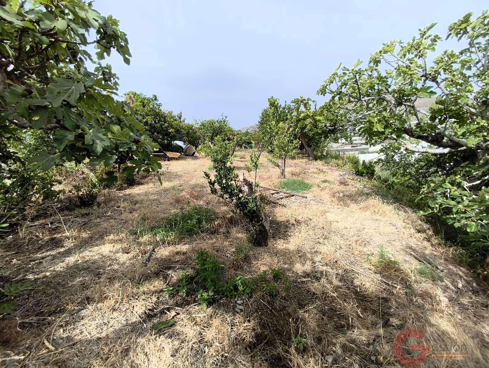 2 Zimmer Finca/Landgut zu verkaufen in Carchuna mit Pool - 212.000 € (Ref: 9981660)
