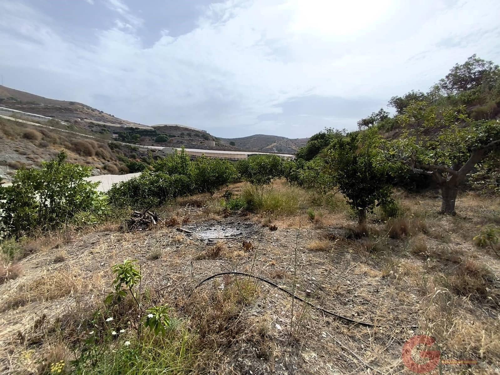 2 Zimmer Finca/Landgut zu verkaufen in Carchuna mit Pool - 212.000 € (Ref: 9981660)