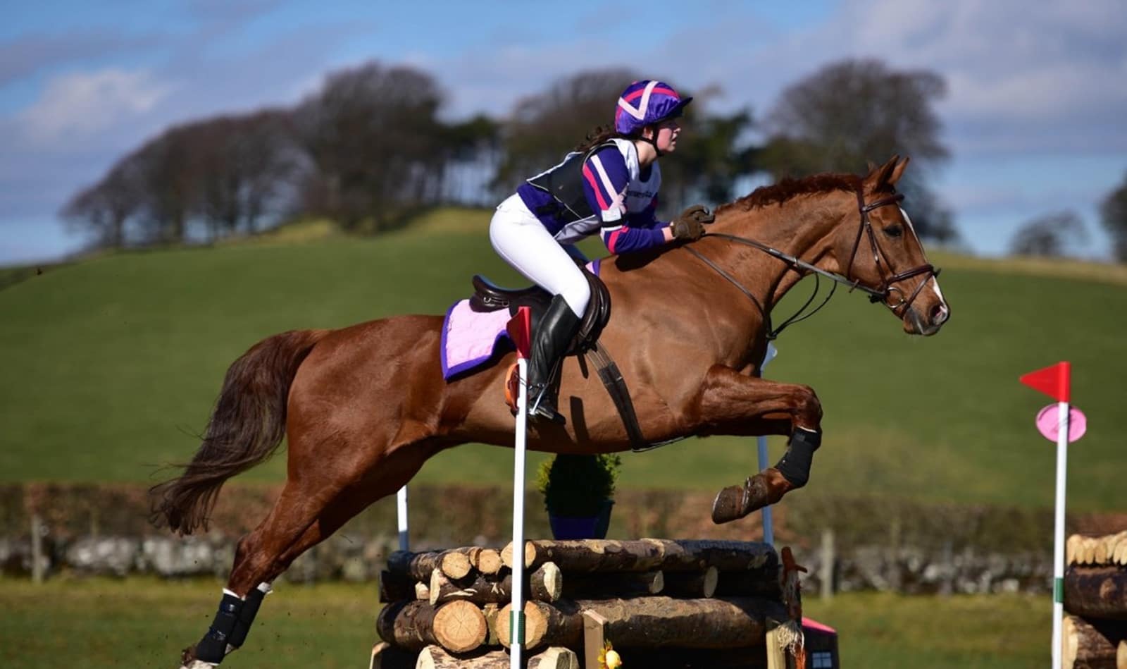 6 soverom Villa til salgs i El Madronal med svømmebasseng garasje - € 11 500 000 (Ref: 8183180)