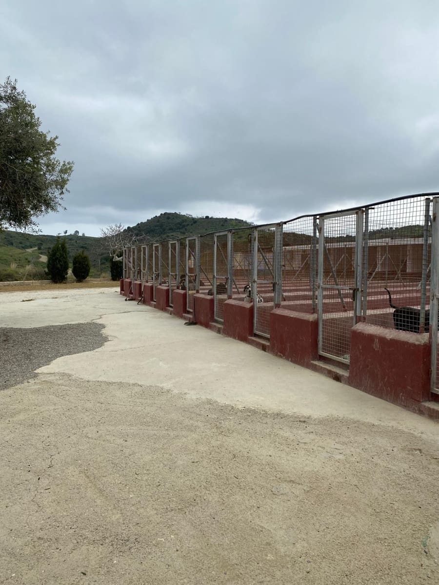 Terrain à Bâtir à vendre à Mijas - 475 000 € (Ref: 9129691)