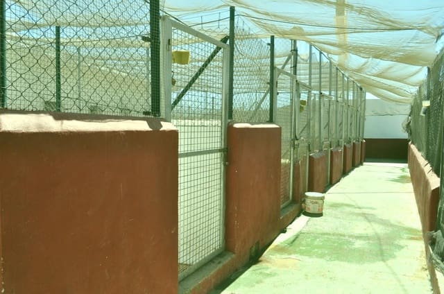 Terrain à Bâtir à vendre à Mijas - 475 000 € (Ref: 9129691)