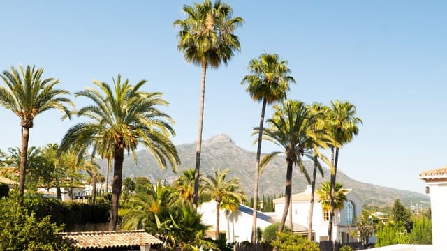 5 sypialnia Willa na sprzedaż w Nueva Andalucia, Marbella z basenem garażem - 4 695 000 € (Ref: 9355739)