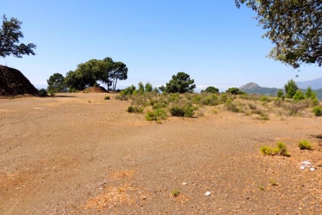 Terrain à Bâtir à vendre à La Zagaleta, Benahavís - 13 000 000 € (Ref: 9367253)