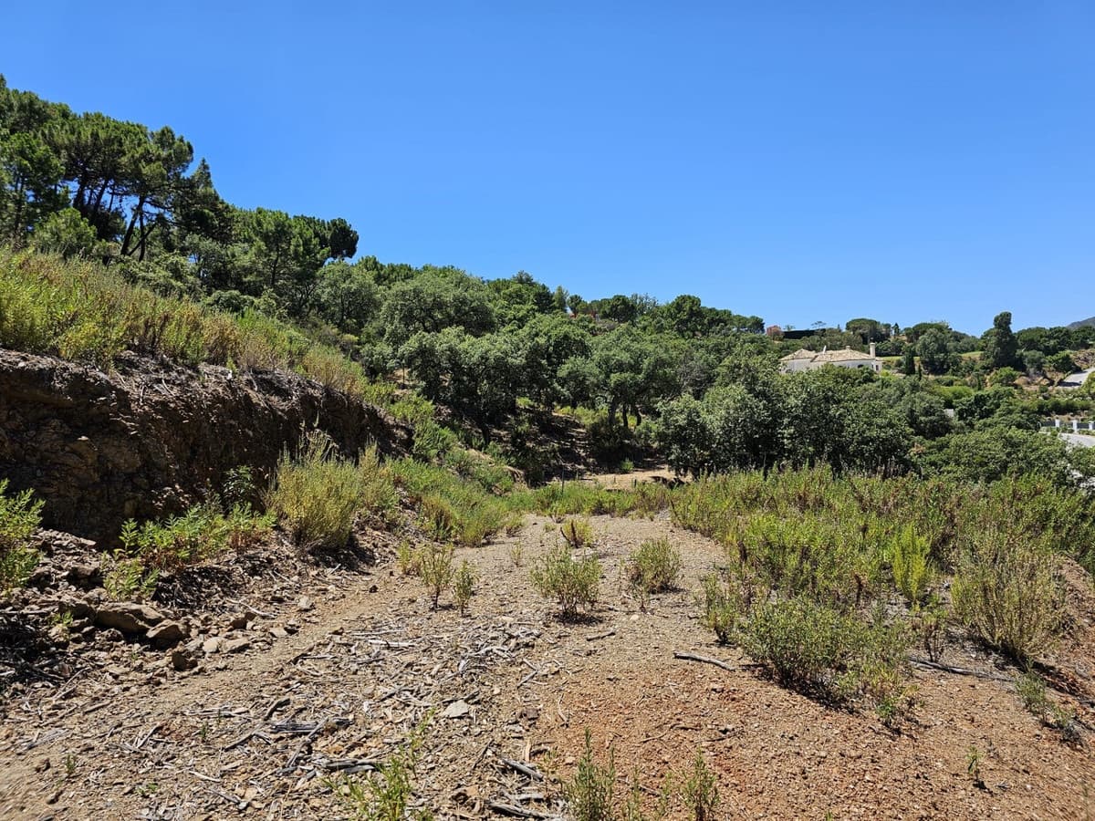 Terrain à Bâtir à vendre à La Zagaleta - 3 250 000 € (Ref: 9371950)