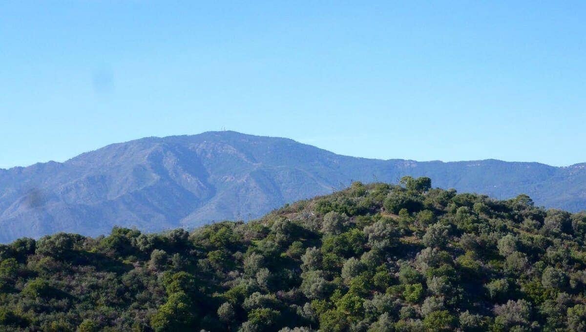 Terreno para Construção para venda em Estepona - 695 000 € (Ref: 9532429)