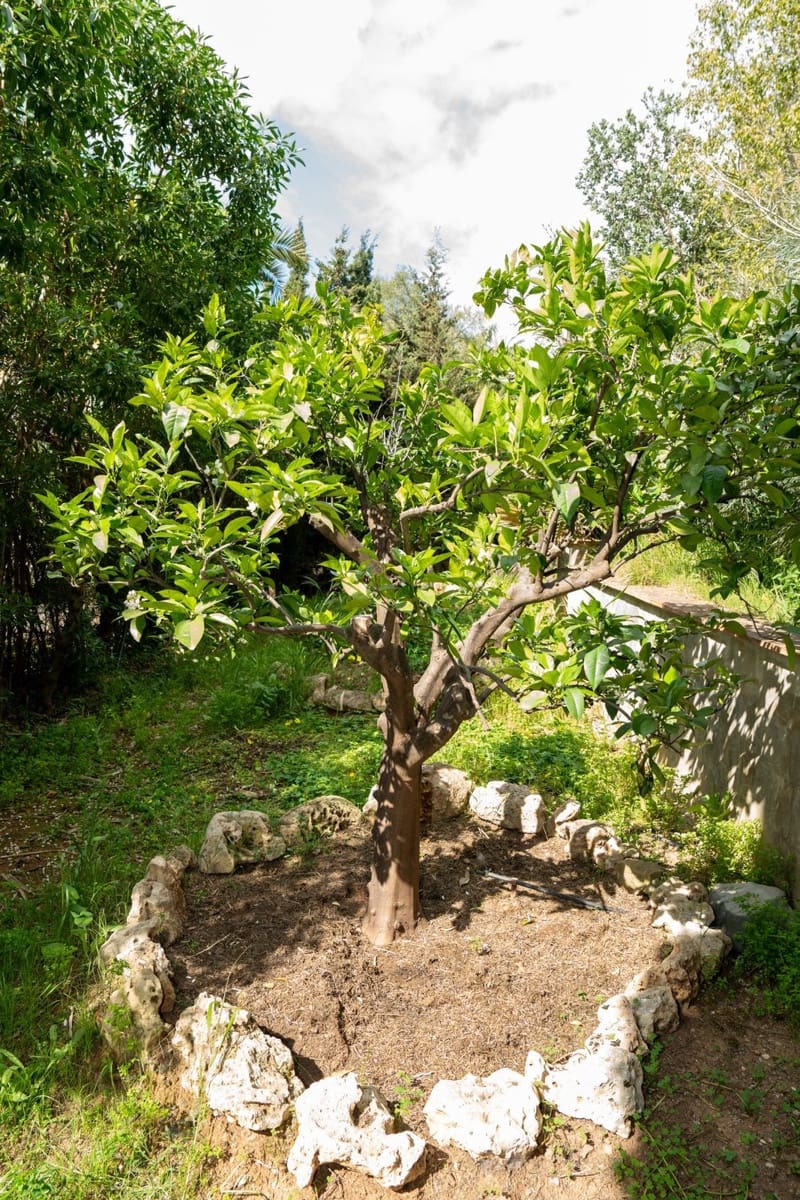 4 soveværelse Villa til salg i Elviria med garage - € 1.600.000 (Ref: 9730811)