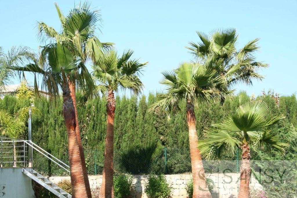 5 soverom Villa til salgs i Adsubia med svømmebasseng - € 1 215 000 (Ref: 9028122)