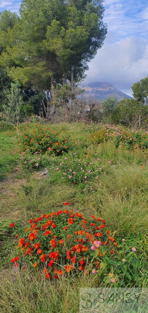 3 camera da letto Villa in vendita in Javea / Xabia - 2.575.000 € (Rif: 9382042)