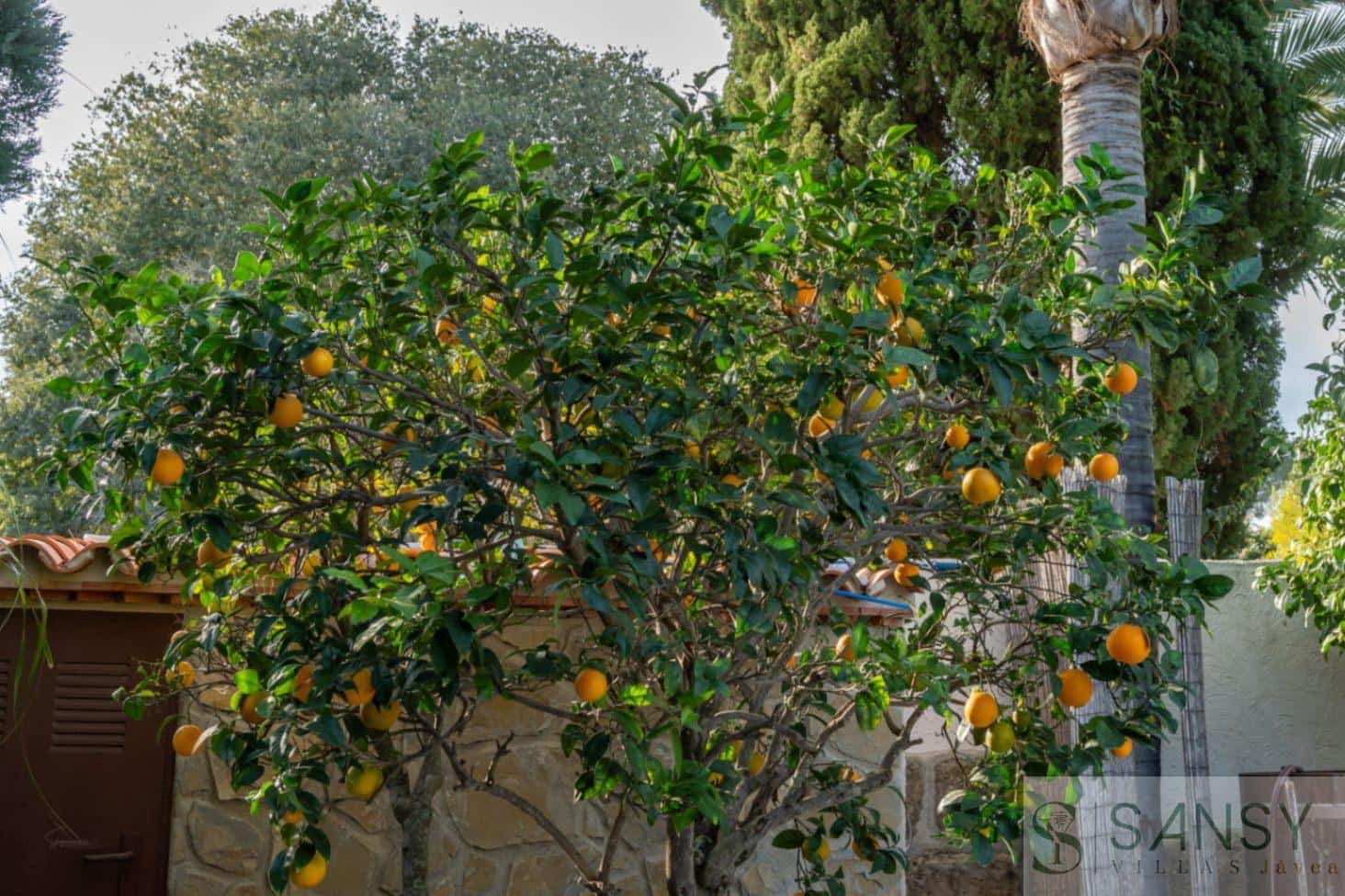 4 Zimmer Villa zu verkaufen in Javea / Xabia mit Pool Garage - 895.000 € (Ref: 9419064)