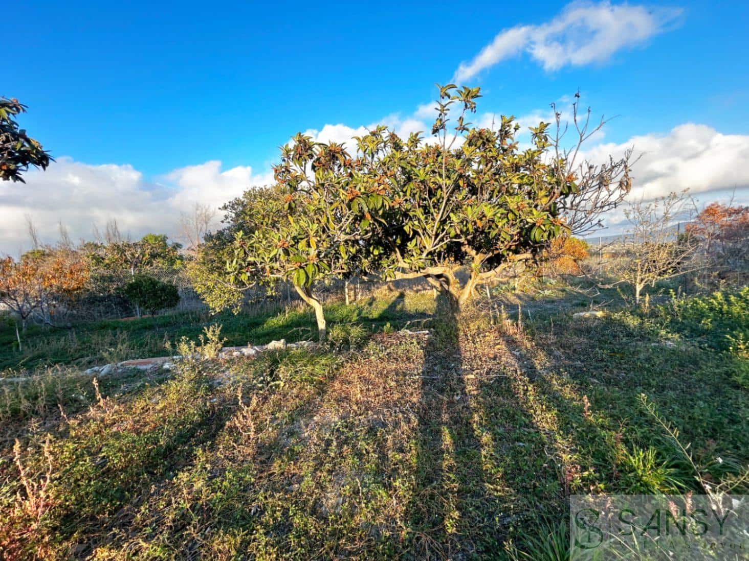 5 soveværelse Villa til salg i Benissa - € 260.000 (Ref: 9488023)