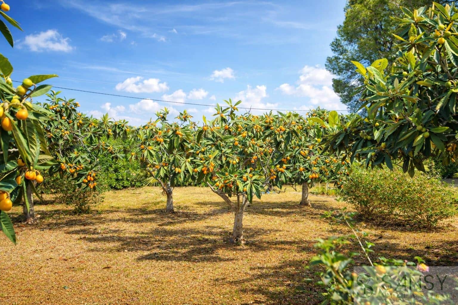 4 soverom Villa til salgs i Denia med svømmebasseng garasje - € 780 000 (Ref: 9796217)