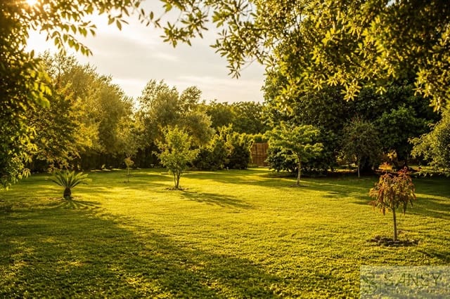 5 sovrum Villa till salu i Pamis, Ondara med pool garage - 1 400 000 € (Ref: 9961804)