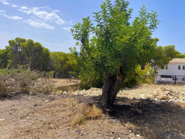 Terreno Não Urbanizado para venda em Benissa - 511 000 € (Ref: 10042493)