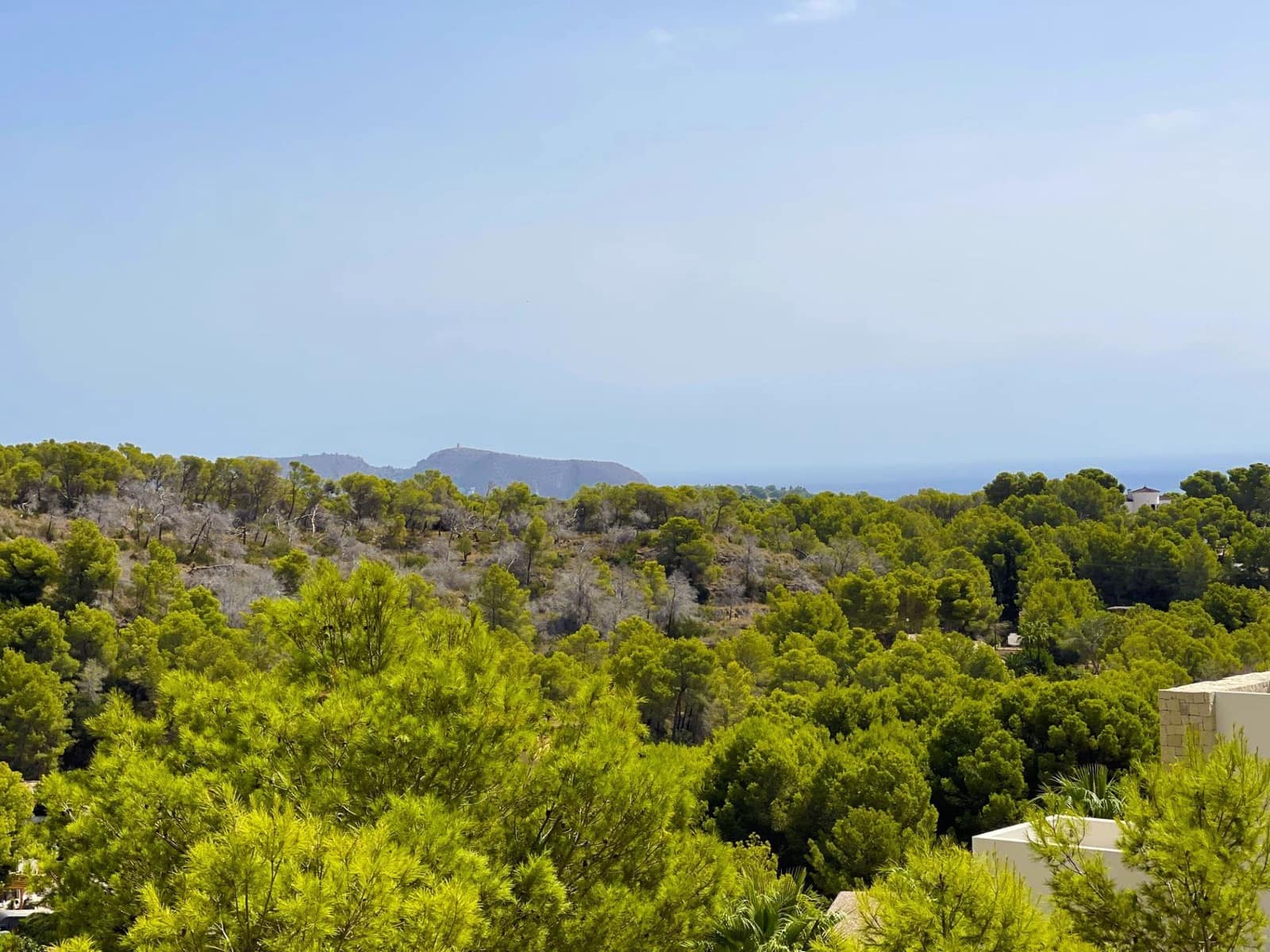 Terreno Não Urbanizado para venda em Benissa - 351 000 € (Ref: 10042494)