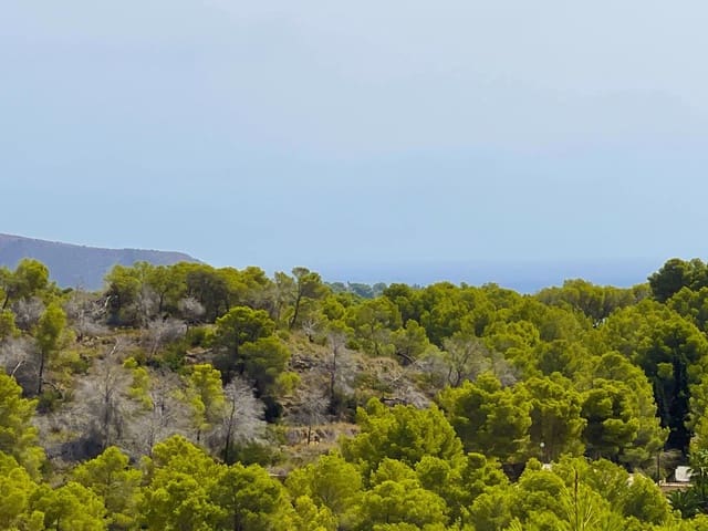 Terreno Não Urbanizado para venda em Benissa - 351 000 € (Ref: 10042494)