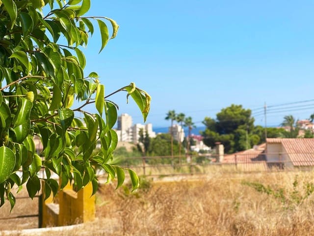 Landgrundstück zu verkaufen in Canuta, Calpe / Calp - 745.000 € (Ref: 10088831)