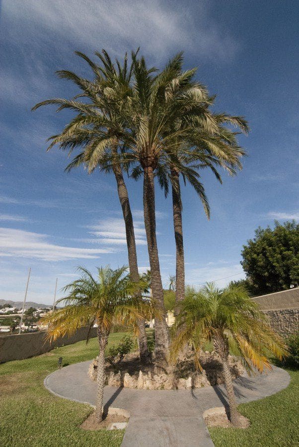 8 bedroom Villa for sale in Benissa with pool garage - € 2,995,000 (Ref: 6535836)