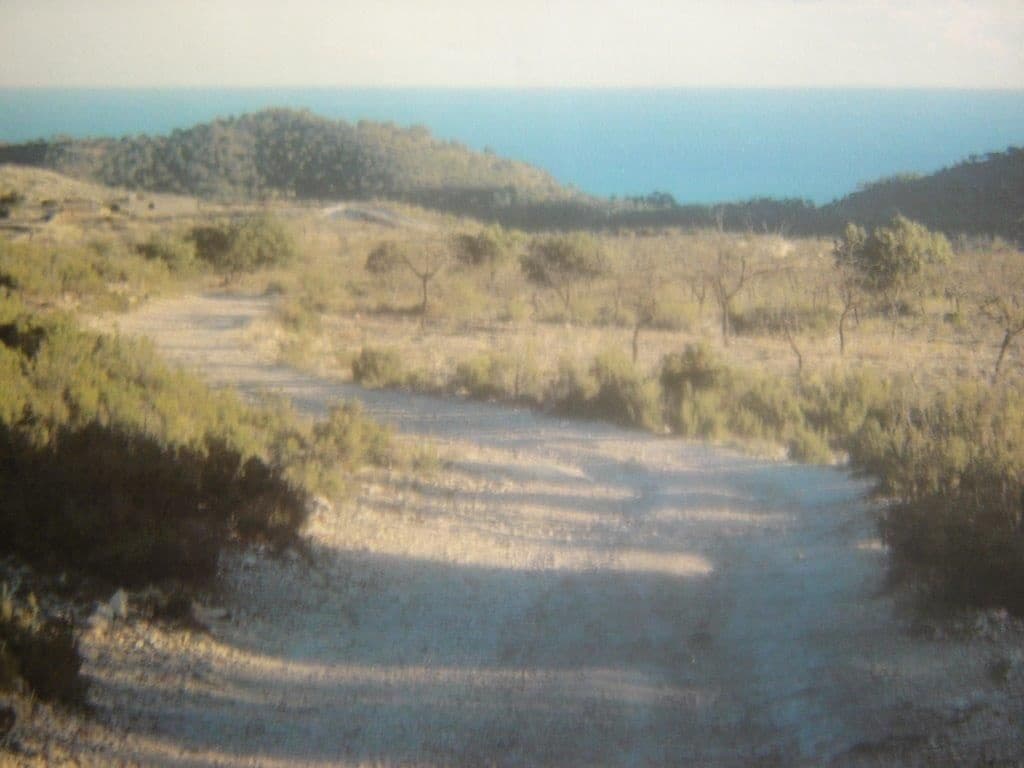 Grunde uden byggetilladelser til salg i Relleu - € 245.000 (Ref: 8039605)