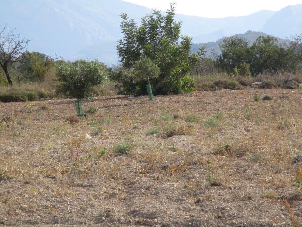 Grunde uden byggetilladelser til salg i Relleu - € 245.000 (Ref: 8039605)