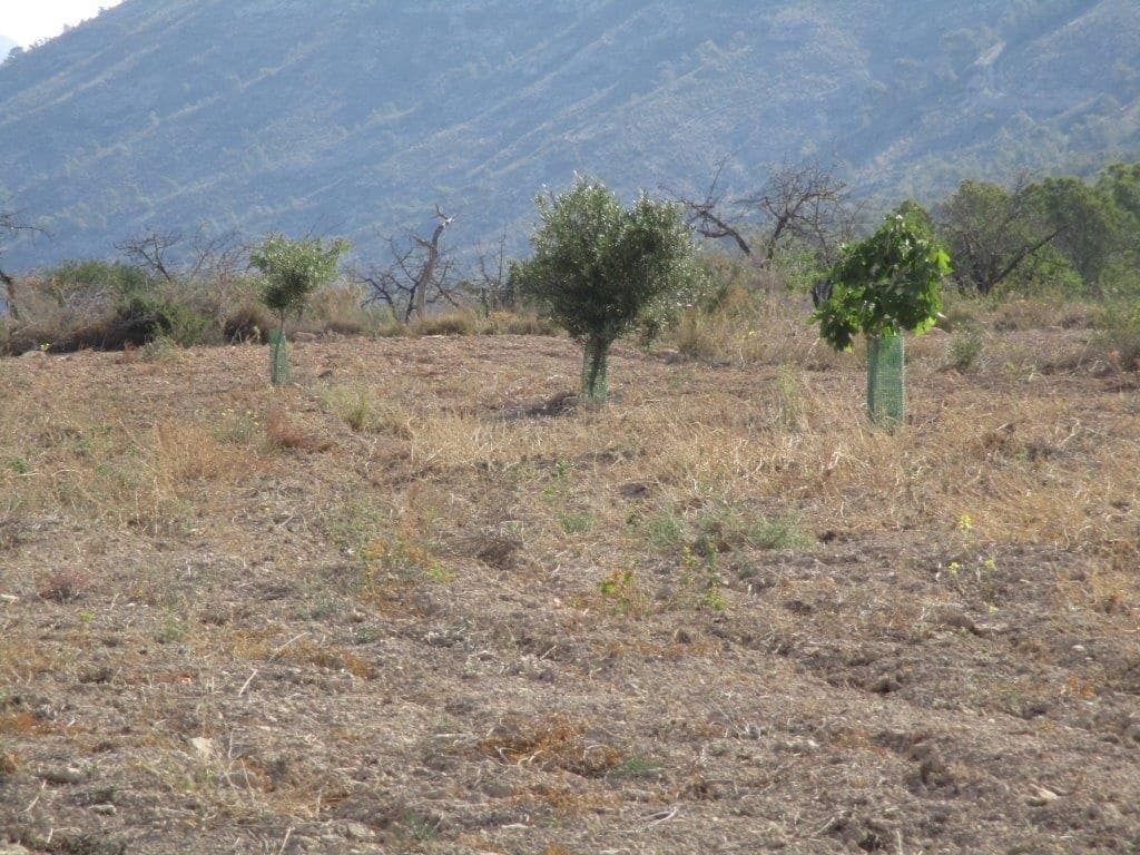 Grunde uden byggetilladelser til salg i Relleu - € 245.000 (Ref: 8039605)