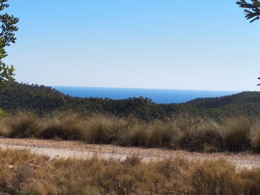 Grunde uden byggetilladelser til salg i Relleu - € 245.000 (Ref: 8039605)