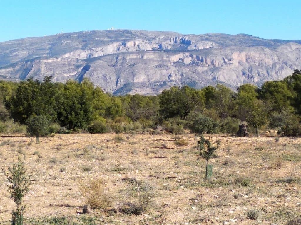 Grunde uden byggetilladelser til salg i Relleu - € 245.000 (Ref: 8039605)