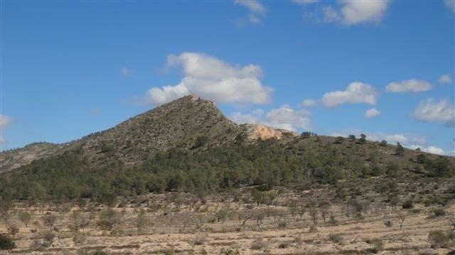 Grunde uden byggetilladelser til salg i Relleu - € 245.000 (Ref: 8039605)