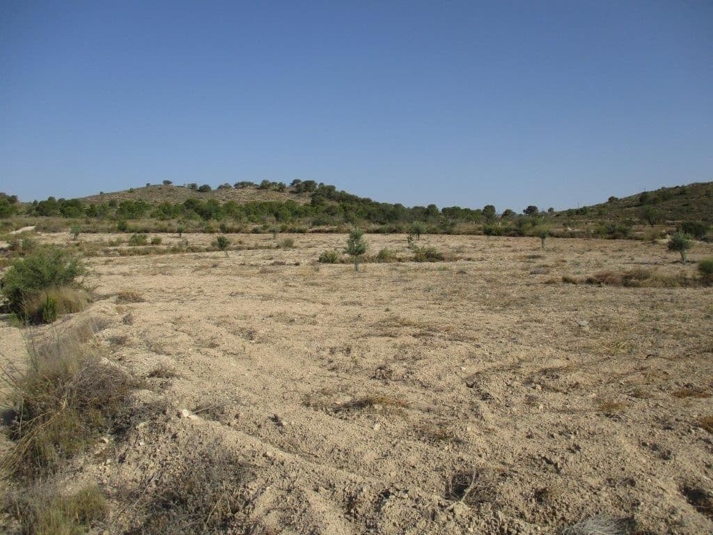 Grunde uden byggetilladelser til salg i Relleu - € 245.000 (Ref: 8039605)