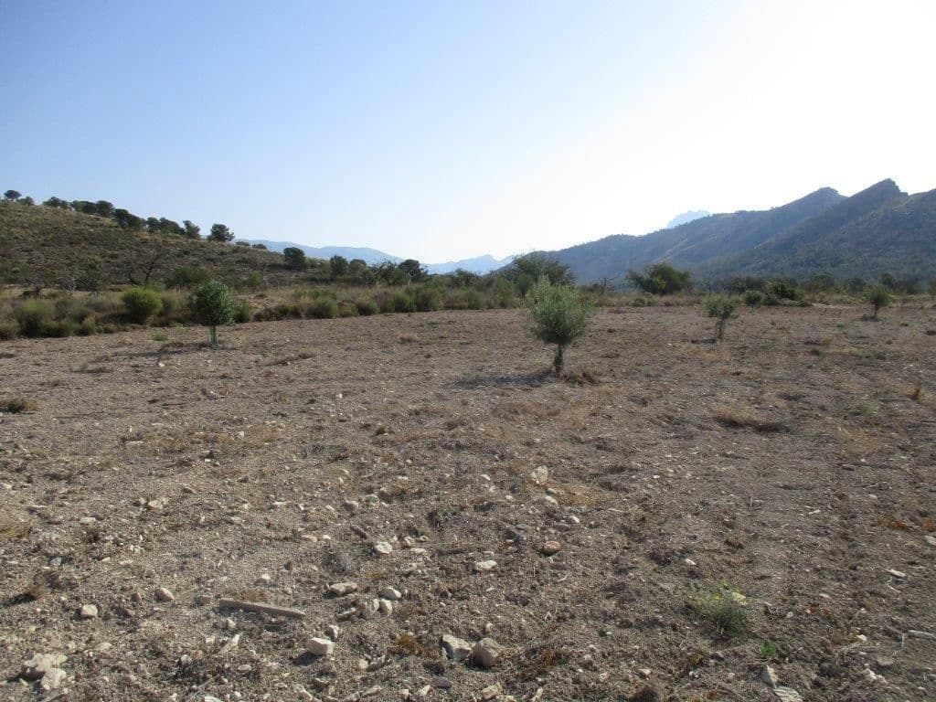 Grunde uden byggetilladelser til salg i Relleu - € 245.000 (Ref: 8039605)