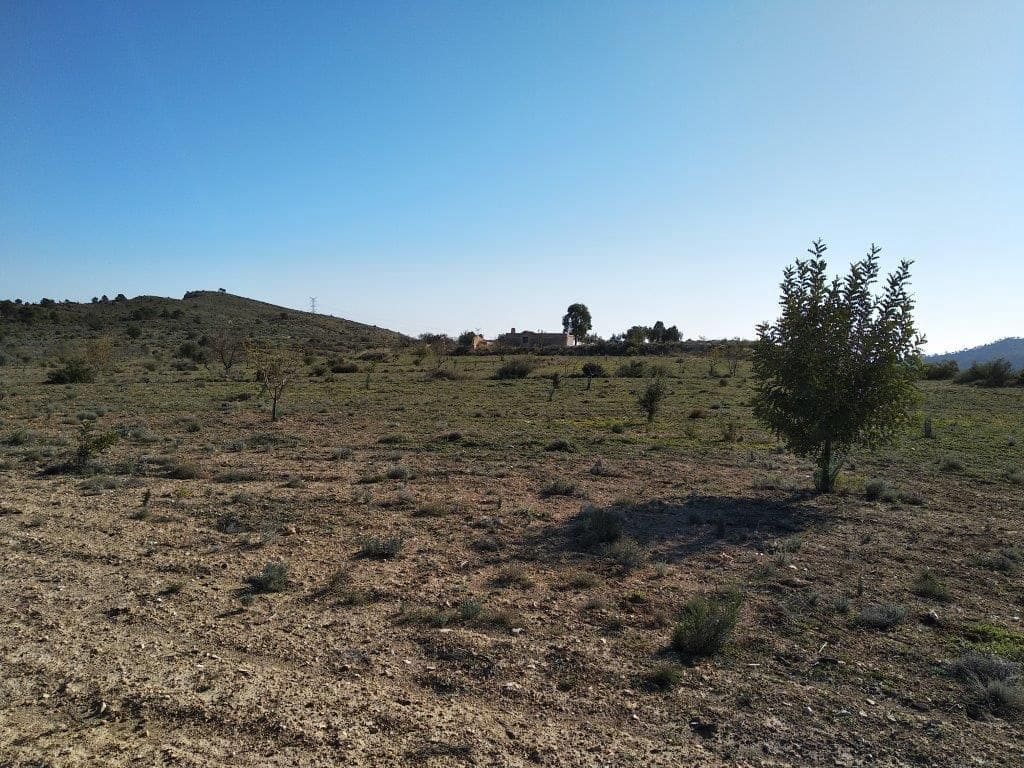 Grunde uden byggetilladelser til salg i Relleu - € 245.000 (Ref: 8039605)